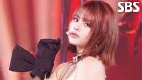 BADASS - GENBLUE | SBS 250928 방송