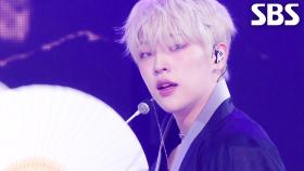 화월가 - The KingDom(더킹덤) | SBS 250928 방송