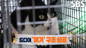 화재로 인한 실종 28일 만에 극적으로 다시 만난 ‘애기’♥