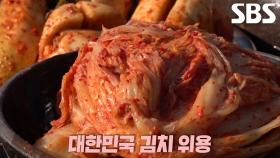아삭×신선함 유지하는 김치 달인 근황★ (ft. 은둔식달 외전)