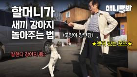 톰과 제리 현실판 같다는 콩이와 나비의 조용할 날 없는 하루🐈💔🐕ㅣKong and Nabi's Like Tom And Jerry In Reality