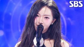 TikTak - 1000°(천도) | SBS 251012 방송