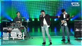 [안방1열 풀캠4K] 블루화 'Greenery' (BLUHWA FullCam) @SBS Inkigayo 251012