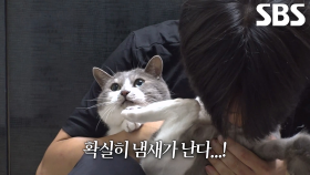 6개월째 밤마다 시작되는 소변 테러 대소동♨