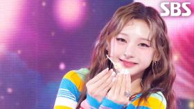 HAPPY - HITGS(힛지스) | SBS 251019 방송