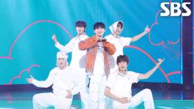 Valentine - Pagaehun(박태훈) | SBS 251019 방송