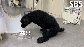 갑작스럽게 후지마비 된 흑남이에게 찾아온 기적