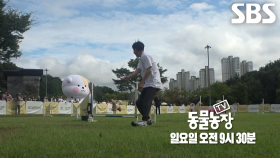 [10월 26일 예고] 다시 찾아온 한솔×토리의 어질리티 도전기★