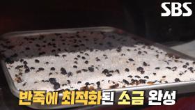 고소한 향 선사하는 달인만의 특별한 소금↗ (ft. 커피 원두)