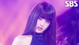 Mamma Mia - izna(이즈나) | SBS 251026 방송