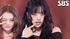 BURNING UP - MEOVV | SBS 251026 방송