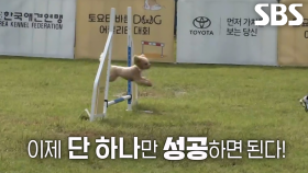 토리×한솔 씨, 서로를 향한 믿음으로 어질리티 완주 성공★