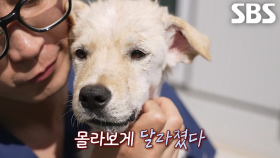 수술마저 어려웠던 은총이에게 찾아온 기적