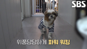 기적과도 같은 변화 맞이한 뭉치×흑남이