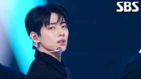 Replay My Anthem - DKZ | SBS 251102 방송