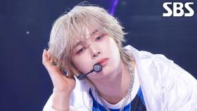 Lunatic - &TEAM | SBS 251102 방송