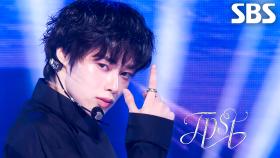 nocturnal + In The Dark (어둠 속에서) - TEMPEST | SBS 251102 방송