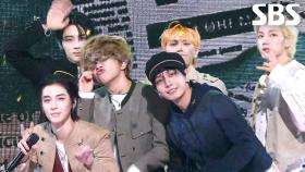 Hollywood Action - BOYNEXTDOOR | SBS 251102 방송