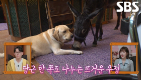 환장의(?) 절친 듀오 ‘당트리버’ 달빛이×미당이