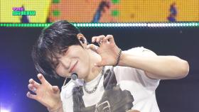 DKB(다크비) - Irony [THE SHOW 251104]