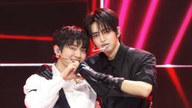 TEMPEST(템페스트) - nocturnal [THE SHOW 251104]