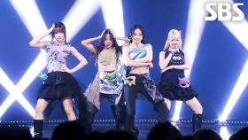 House Party - VVUP | SBS 251109 방송