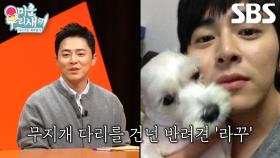 “성인이 되면 좀 더...” 조정석, 반려동물 떠나보낸 배정남 마음 이해하며 공감↘