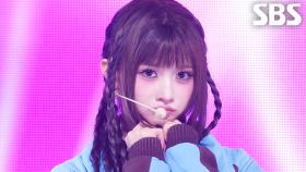 A-HA! - HITGS(힛지스) | SBS 251109 방송