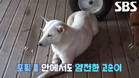 고통에서 고순이 구출할 사랑의 구조 대작전 성공♥