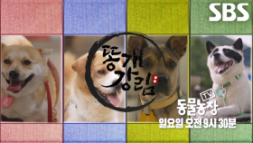 [11월 16일 예고] T1×정혁, 운 가득 들고 온 똥개들과 함께 강림★