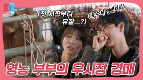 하루 수익 수천만 원?!😮 20대 영농 부부의 영 앤 리치한✨ 우시장 경매 현장🐂 #동상이몽