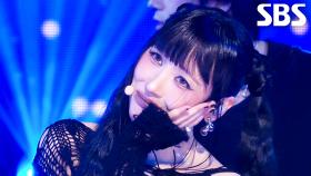 CYNICAL - 선미 | SBS 251116 방송