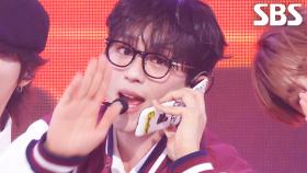 Irony - 다크비(DKB) | SBS 251116 방송