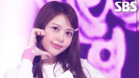 FOCUS - Hearts2Hearts(하츠투하츠) | SBS 251116 방송