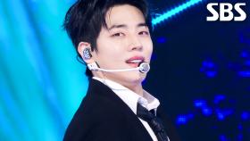 Replay My Anthem - DKZ | SBS 251116 방송