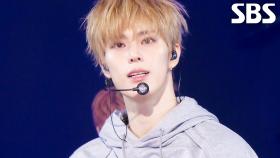 SUPERPOWER (Peak) - xikers(싸이커스) | SBS 251116 방송