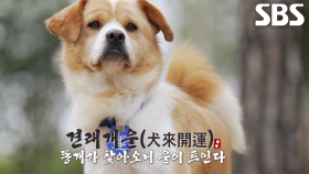 정혁, 운명처럼 나타난 똥개 ‘피그몬’과의 만남★