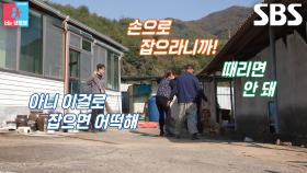 천혜린, 닭 무서워하자 장난치는 ‘테토녀’ 시어머니에 기절초풍↗