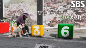 푸바오, 할머니와 활력 넘치는 첫 시장 나들이★