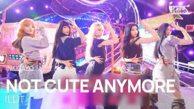 NOT CUTE ANYMORE - ILLIT | SBS 251130 방송