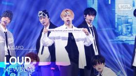 LOUD - NEWBEAT | SBS 251130 방송