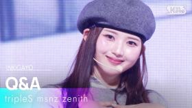 Q&A - tripleS msnz zenith | SBS 251207 방송