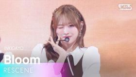 Bloom - RESCENE | SBS 251207 방송