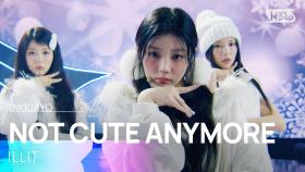 NOT CUTE ANYMORE - ILLIT | SBS 251207 방송