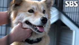 럭키, 깔끔하고 예뻐진 모습으로 환골탈태♥