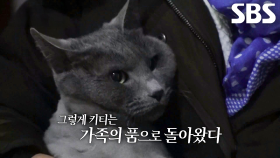 4일 만에 발견되고 애처롭게 엄마 부르는 ‘키티’