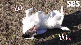 세리머니까지 완벽한 원반 놀이, 로켓의 활약★