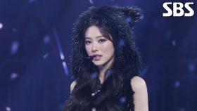 MEOVV(미야오) - TOXIC (가요대전 Ver.) + Burning Up (Rush Remix)♬