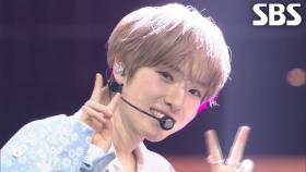 NCT WISH - Surf (Christmas Ver.) + COLOR♬