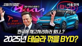 중국 BYD 벌써 1000대 예약? 2025년 독기 품은 BYD 승용차가 한국 시장에 진출한 이유 #BYD #현대차 #기아 #테슬라